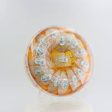 Fulgenthall 5A Edible Bird's Nest Premium Series-100g/16 Pieces Bird's Nest Soup