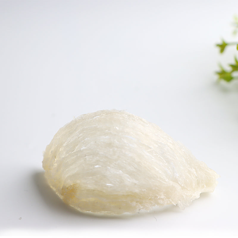 Fulgenthall 3A Edible White Bird's Nest 100g Bird's Nest Soup from Malaysia